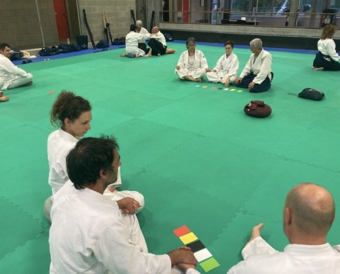 Pratica di Kinorenma Pratica di I Shin Den Shin